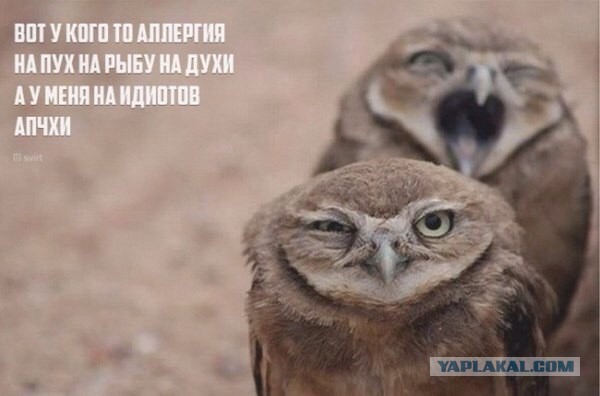 Прикольные картинки на понедельник