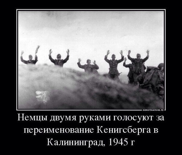 10 злободневных политических картинок