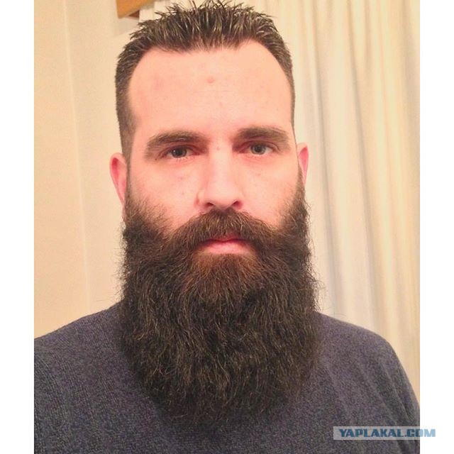 20 занимательных фактов о бороде