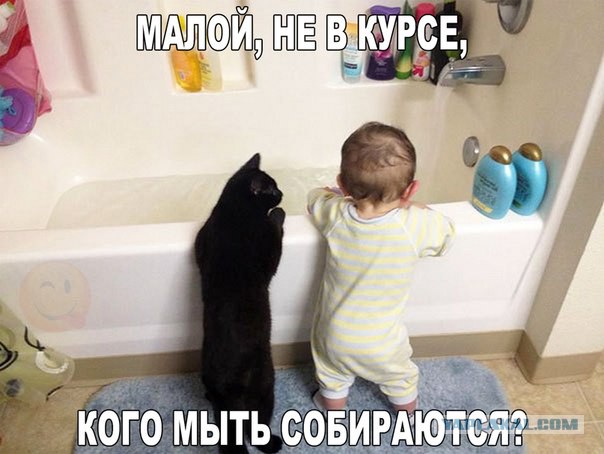 Когда вернулись дети, собака притворилась мертвой. Кот - не успел