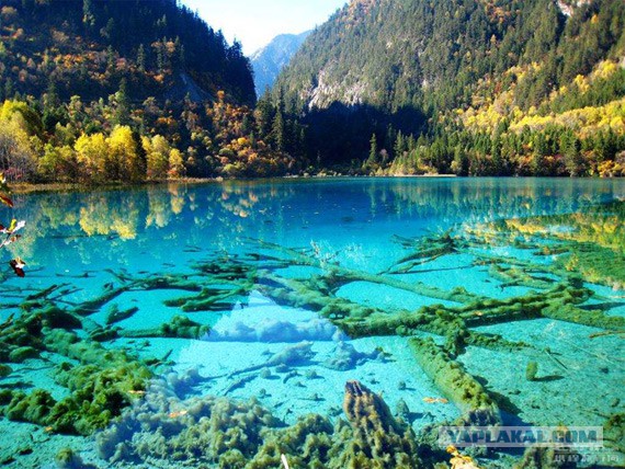 Подборка красивых и прикольных фото