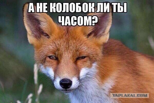 В Турцию, - в один конец.