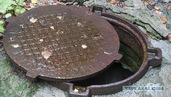 Во Всеволожске «Тойоту» разбили крышкой люка