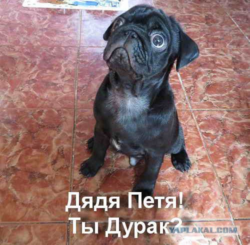 Мы не оставим наших граждан в Крыму за новым железным занавесом российской оккупации, - Порошенко