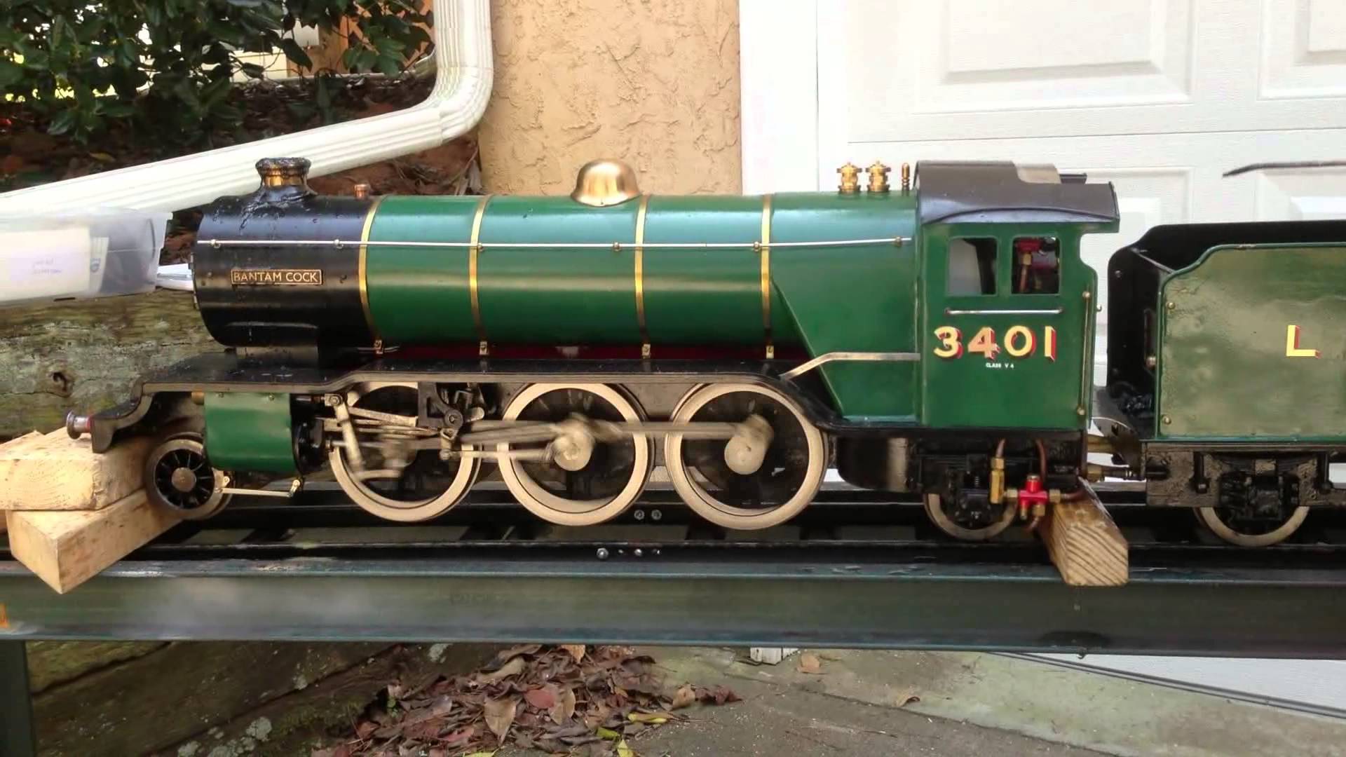 9971877.jpg