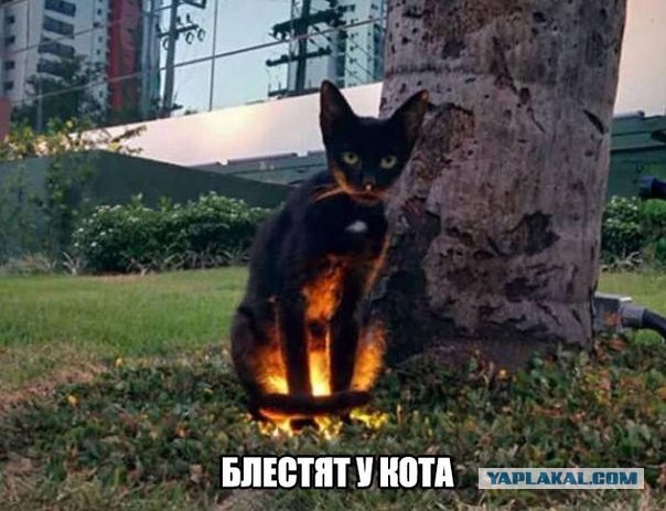 Настало время ахуи*****ных историй!