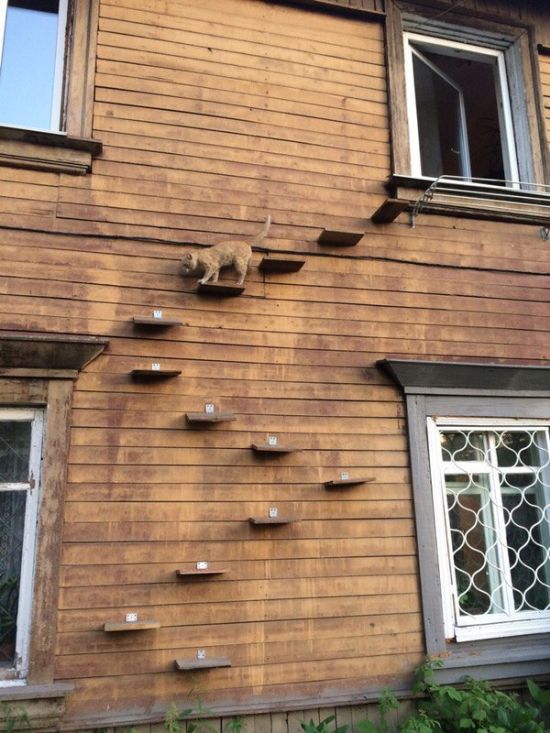 Подборка интересных и веселых картинок