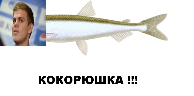 Футбол. Чемпионат России 2017-2018 часть 4