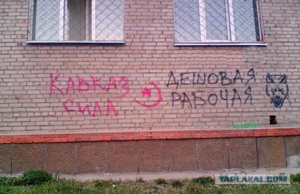 Двух жителей Сургута не пустили в фитнес-клуб из-за внешности. «Потому что мы лица кавказской национальности»
