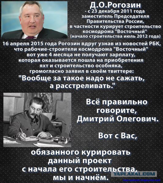 "Утопивший" в бочке таксу Рогозин взбесил россиян