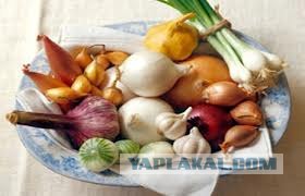 Арбидол и другие мифы о гриппе