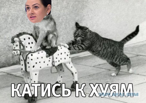 Чиновницу «никто не просил рожать» исключили из свердловского правительства