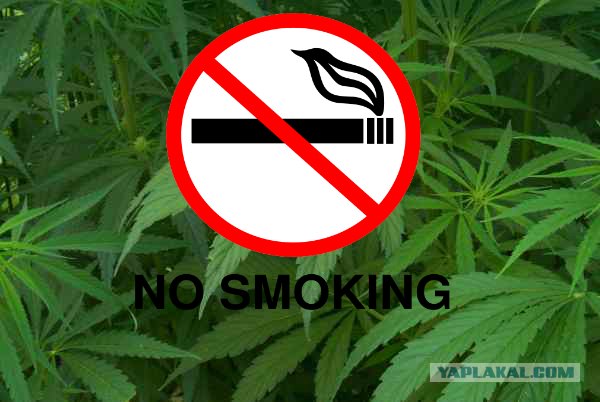 Ты ***, если куришь!