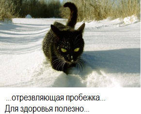 Кроха