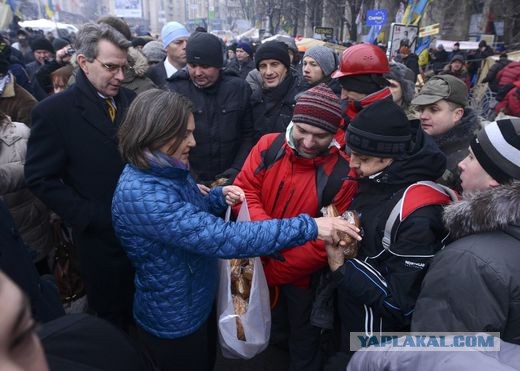 Экзитпол: Лукашенко набирает 79,7%