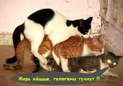 Шокирующее ПОРНО! 21+ фото