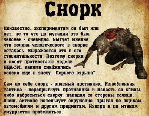 В Египет в ноябре - поехали!
