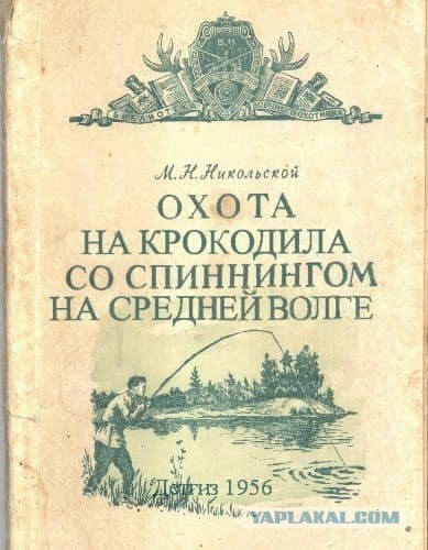 Бредзона 08.06.21