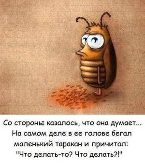 Баянисто-небаянистый юмор 30.03.22