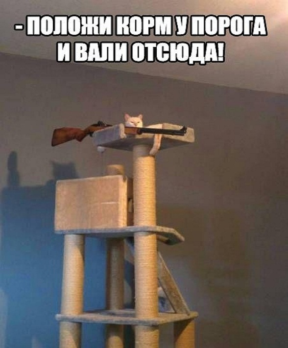 Картинки и мемы. Выходные близко...