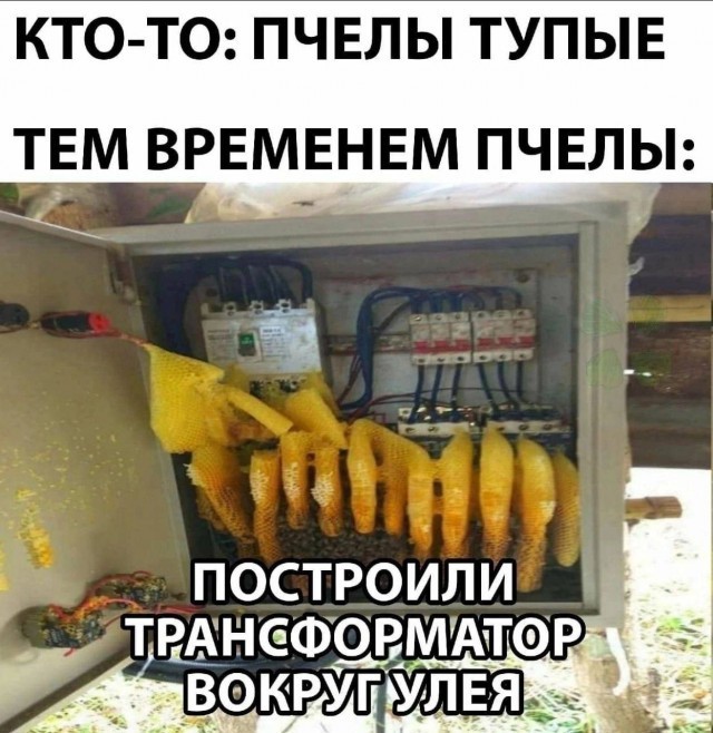 Картинки аморальные и всякие разные - 40