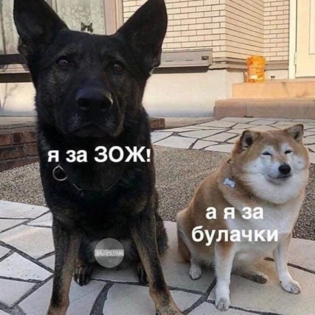 Пятая подборка самых баянистых баянов! Ностальгируем...