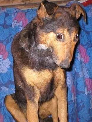 Это что ? о_О