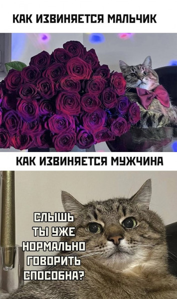 Чуток картинок