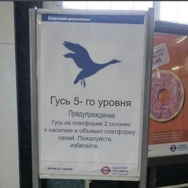 Гусь вялый