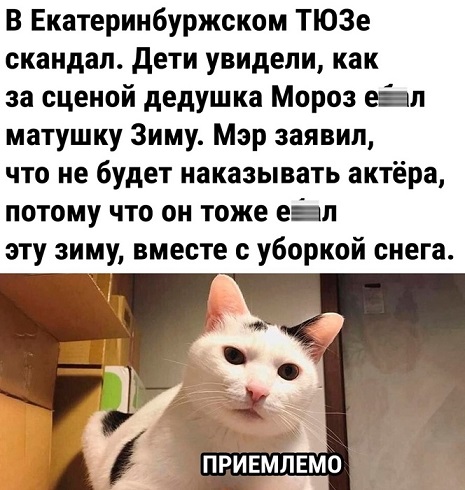 Показывайте кота!