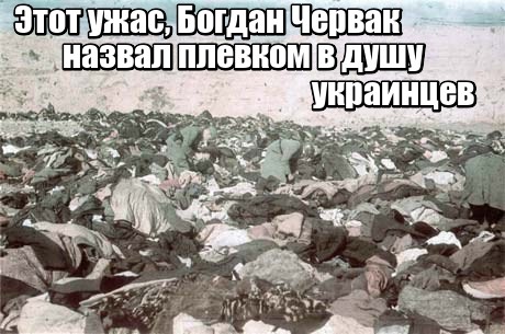 Глава Новороссийска призвал граждан оставаться в укрытиях на фоне атаки дронов
