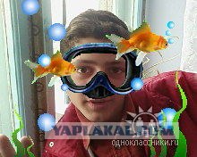 Дикие фото из социальных сетей