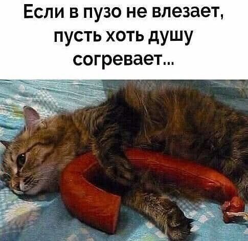 Так себе картинки 02.01.25