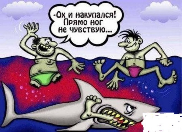 Картинки для деградации 13 (разной степени свежести)