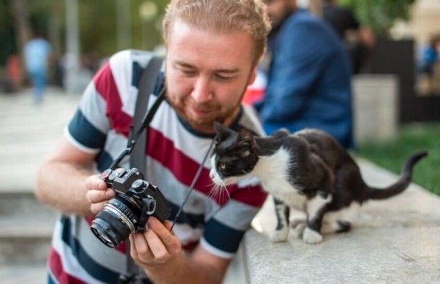 К котовторнику: подборка картинок-баянов с котиками и про котиков. Выпуск 24.