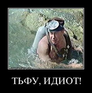 Мышка