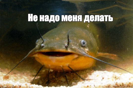 Это вам не крещенское купание