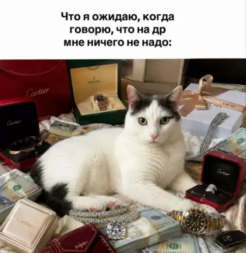Есть только один способ избежать критики: ничего не делать, ничего не говорить и быть никем.