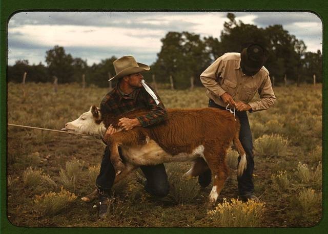 Цветные фотографии из Америки 1940-х