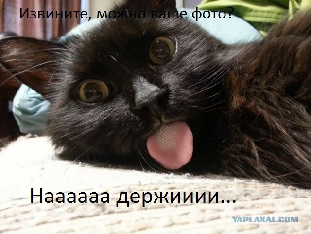Уот так уот..Уоот. Все, мне так удобно
