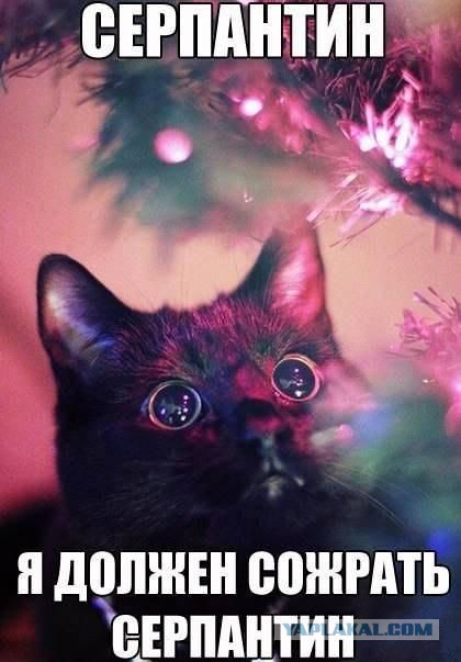 Спасибо Антону и его хлопушке.