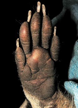 удалить! тест !