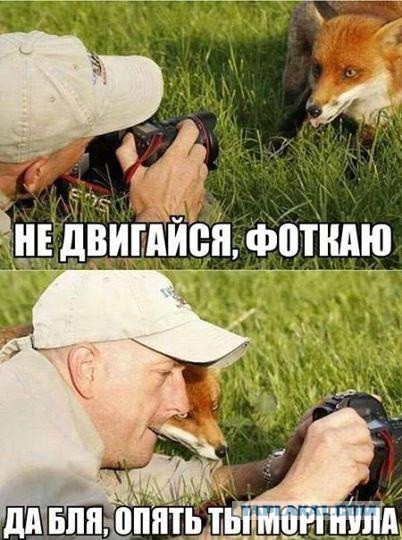 Веселые картинки