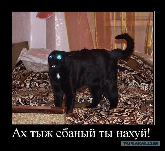 Пропал не боинг