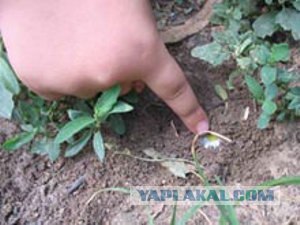 Немного о 90-х