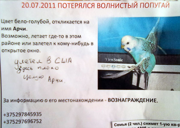 Как научить кота откликаться на имя. Признаки рас у ребенка. Дети с расстройством аутистического спектра. 5 не отзывается на имя. Разыскиваются дети.