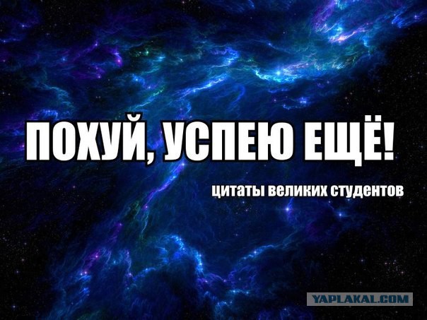 Весёлые картинки