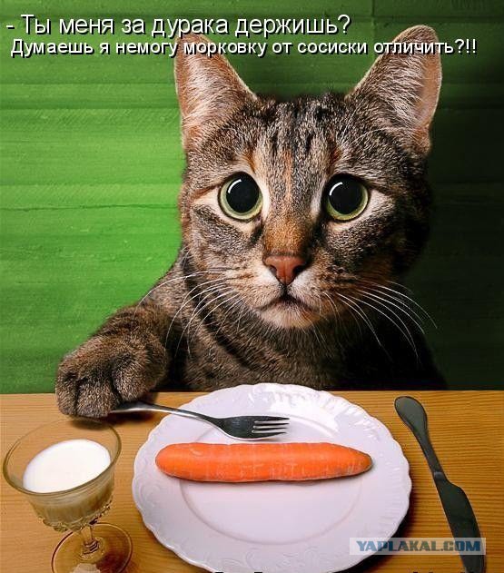 Травоядные совсем чокнулись.