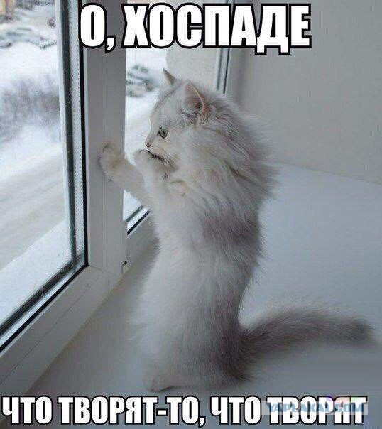 дядя Зоя