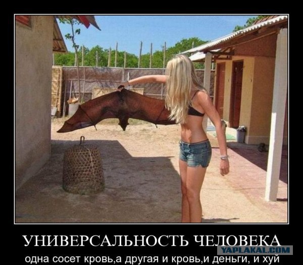 Прикольные картинки на понедельник